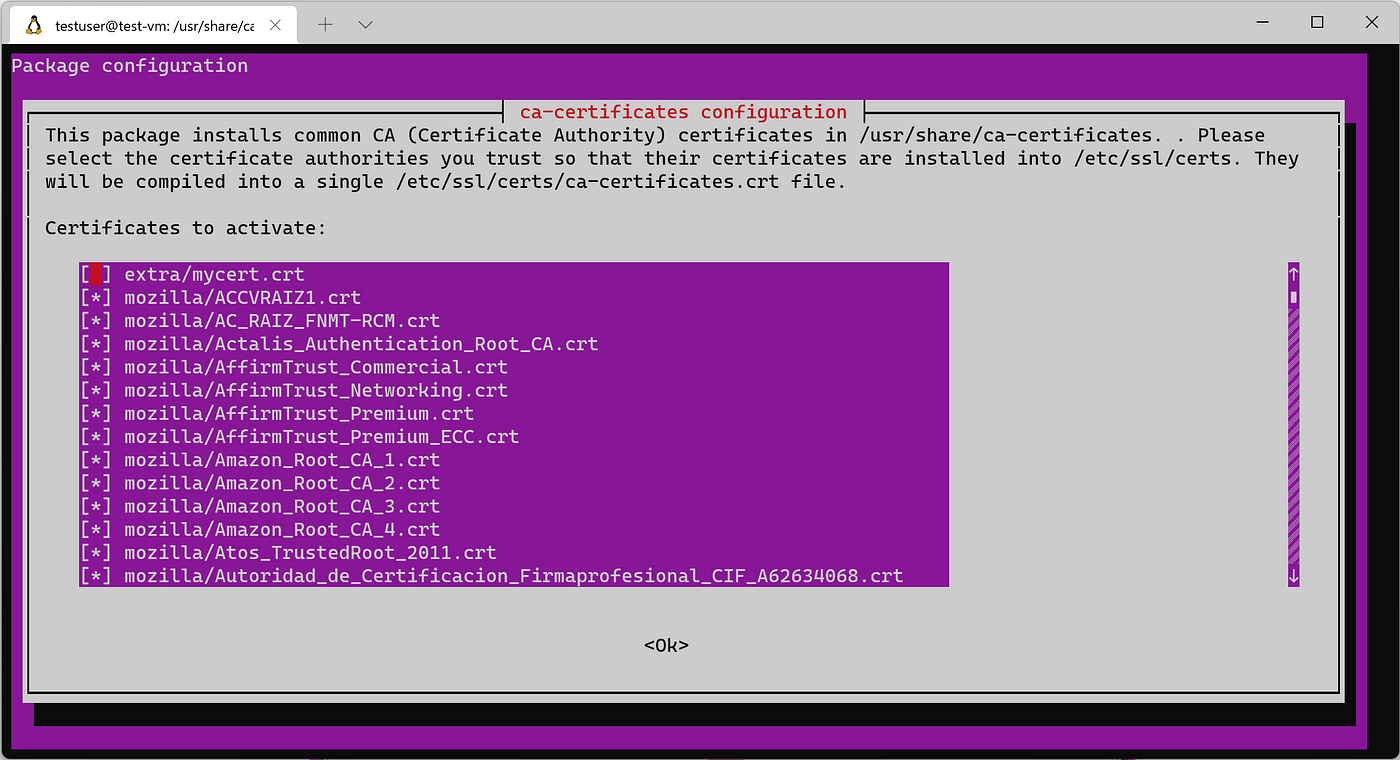 check ssl certificate on linux