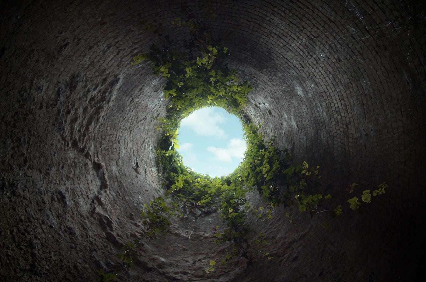 Beyond Python: Internals, Performance, and Rust Integration (1/3)