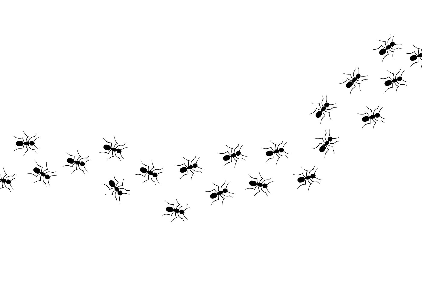 Stop Bringing Ants into Your Home: The Simple Mistake I Made with My Cut Flowers