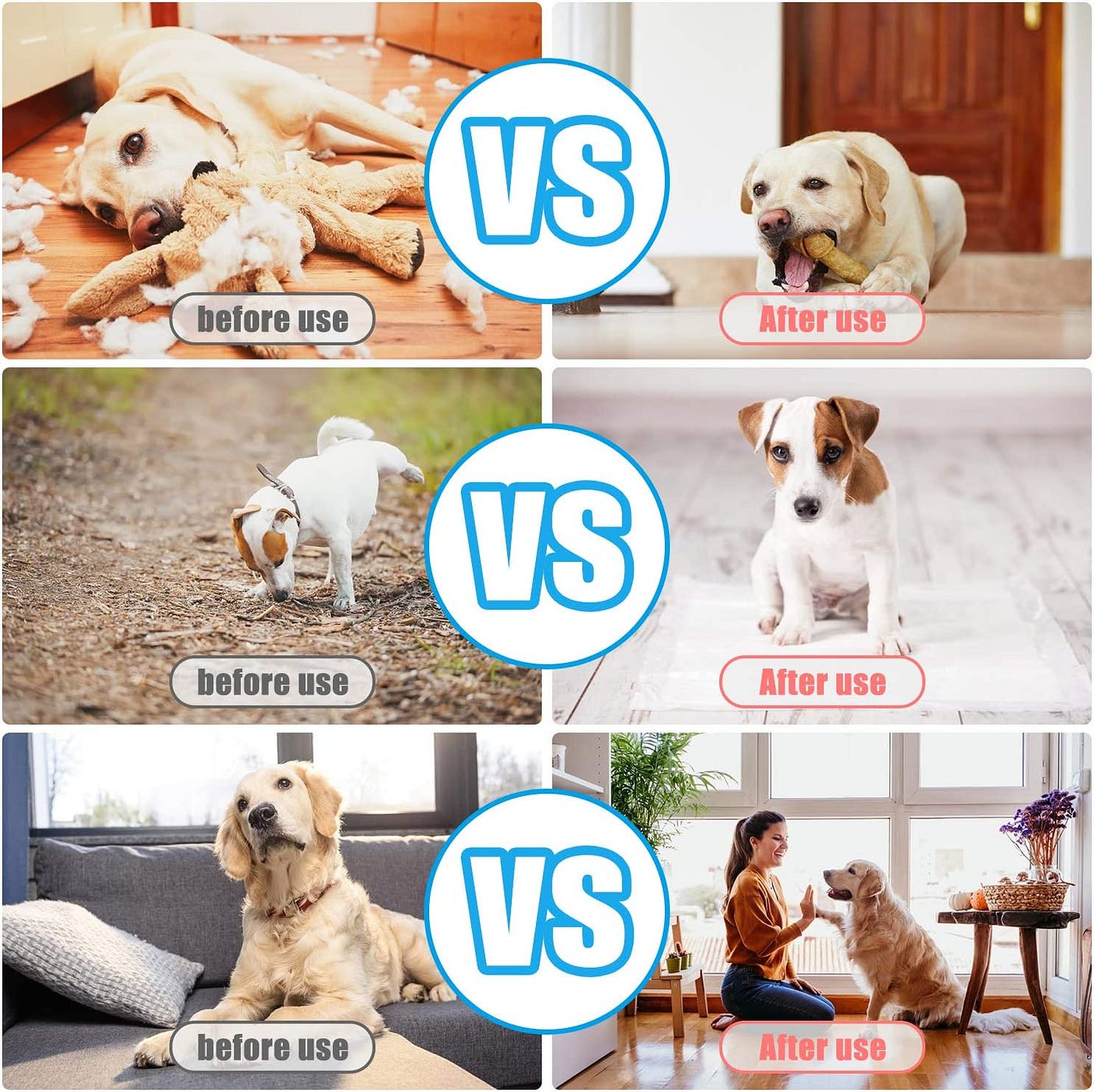Clicker Training For Dogs: 3 Best Clickers & How It Works