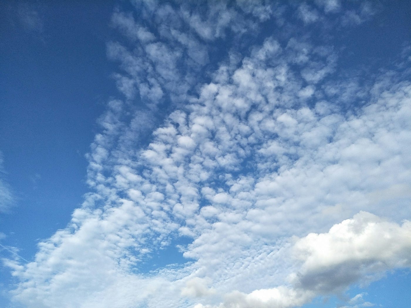 The pain passes, but the beauty remains.【美國交換學生-康乃狄克大學- Exchange Student in  UConn】 | by 勇敢實驗室｜郵遞| 勇敢實驗室| Medium