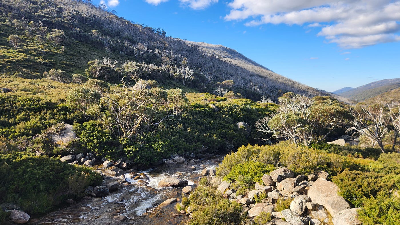 Thredbo River