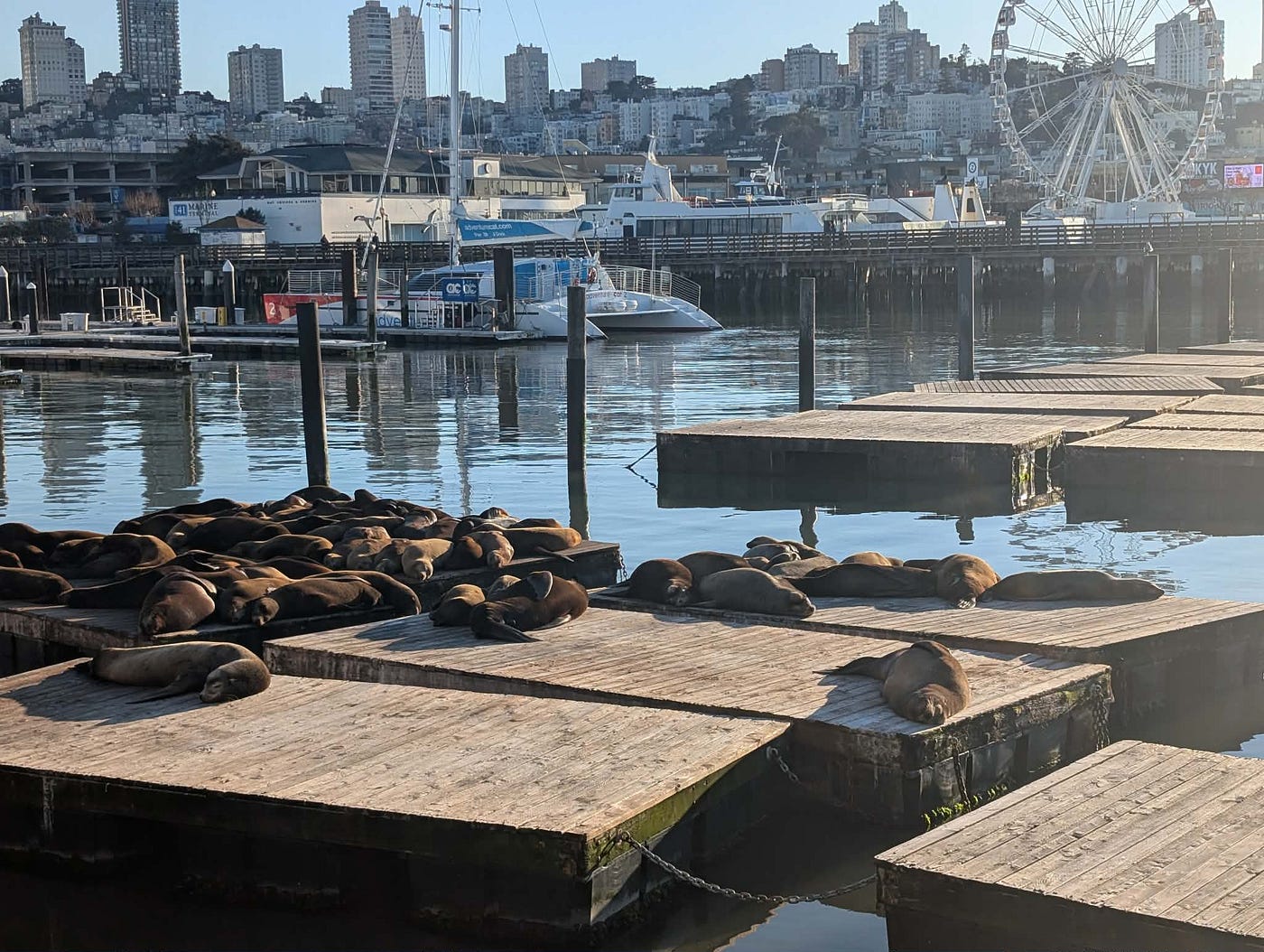 Pier 39 photo by Scarlet Spitzer-Silverstone