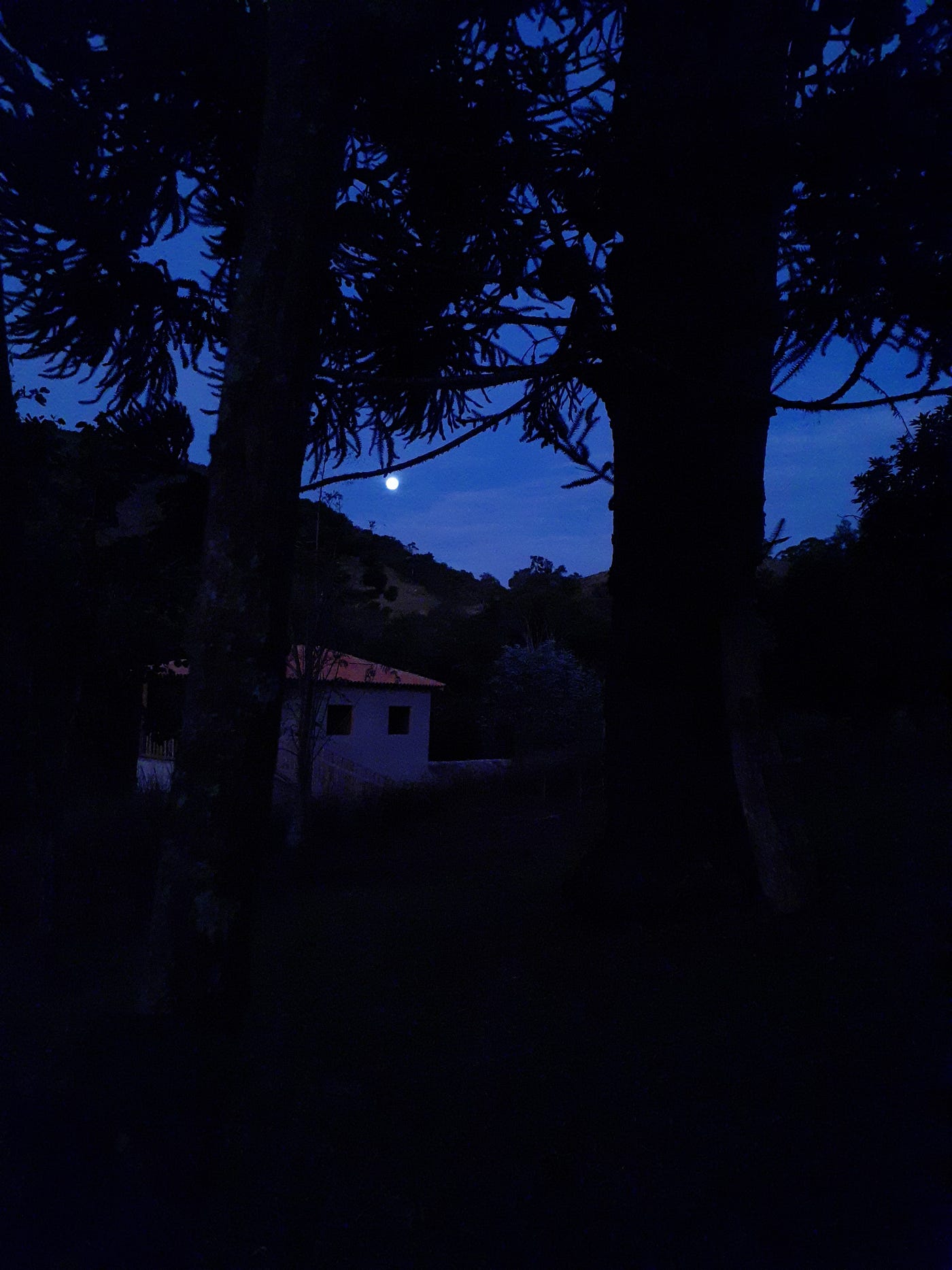 O mal que bate na minha porta