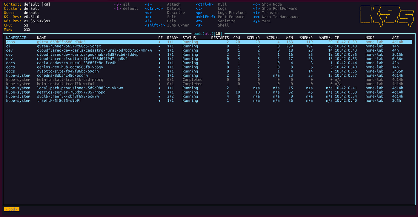 Gitea on Raspberry Pi: the story of how GitLab took down my homelab