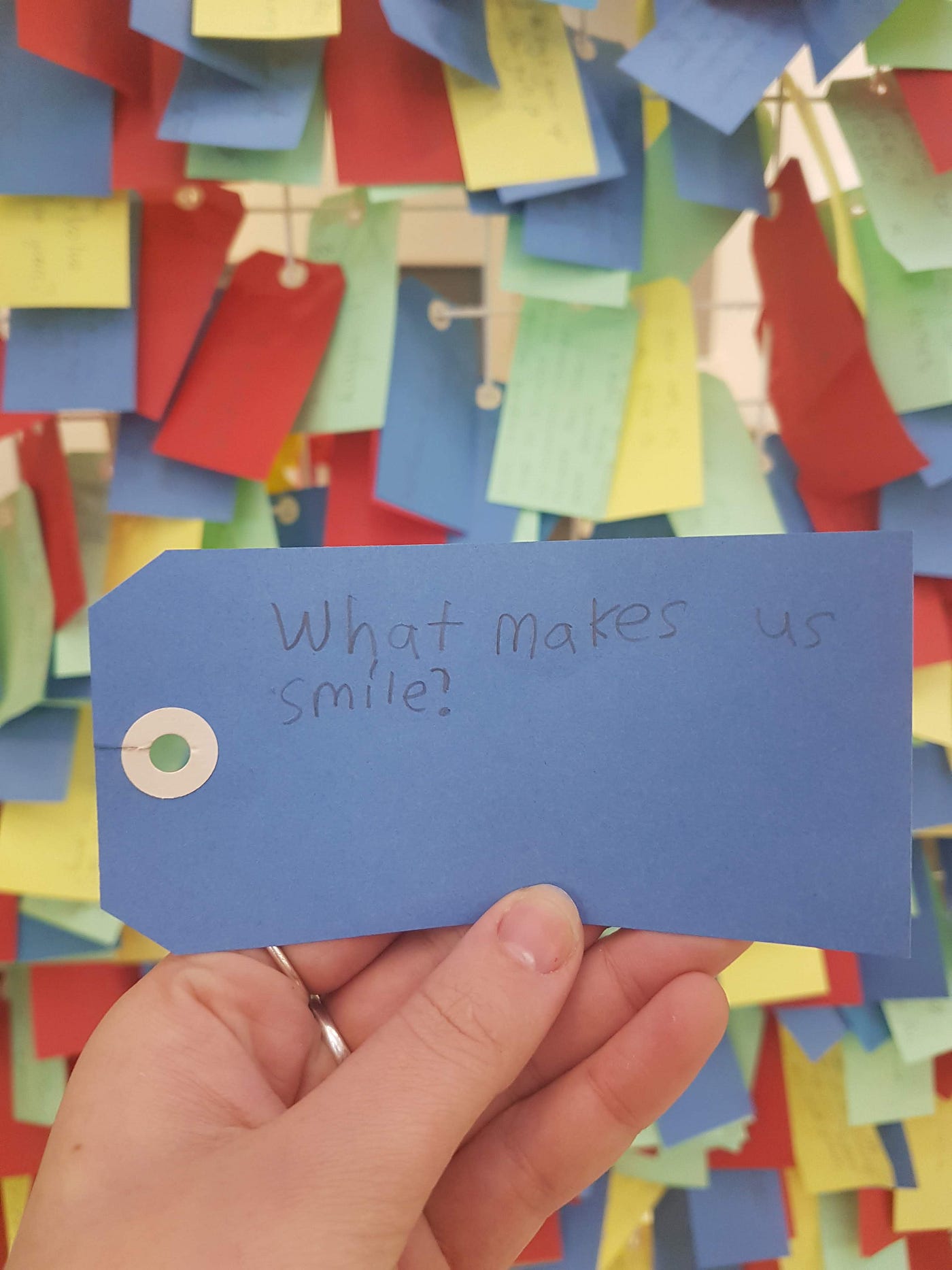 Questions from our visitors now shape all of our activities, programming and the brand new exhibits launching in 2020.