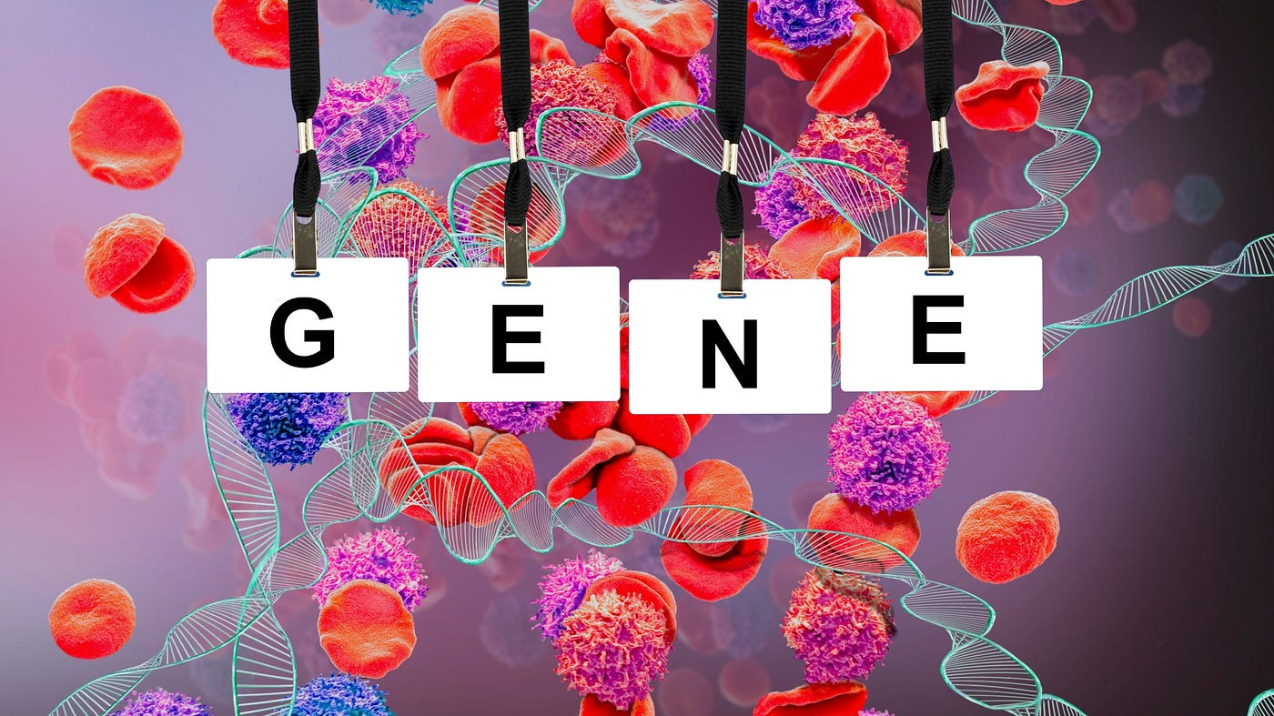 Your genes determines your longevity