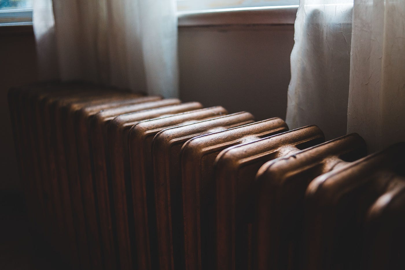 Photo by Erik Mclean on Pexels.com