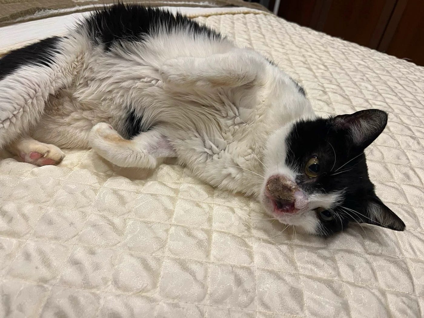Lying down on the bed