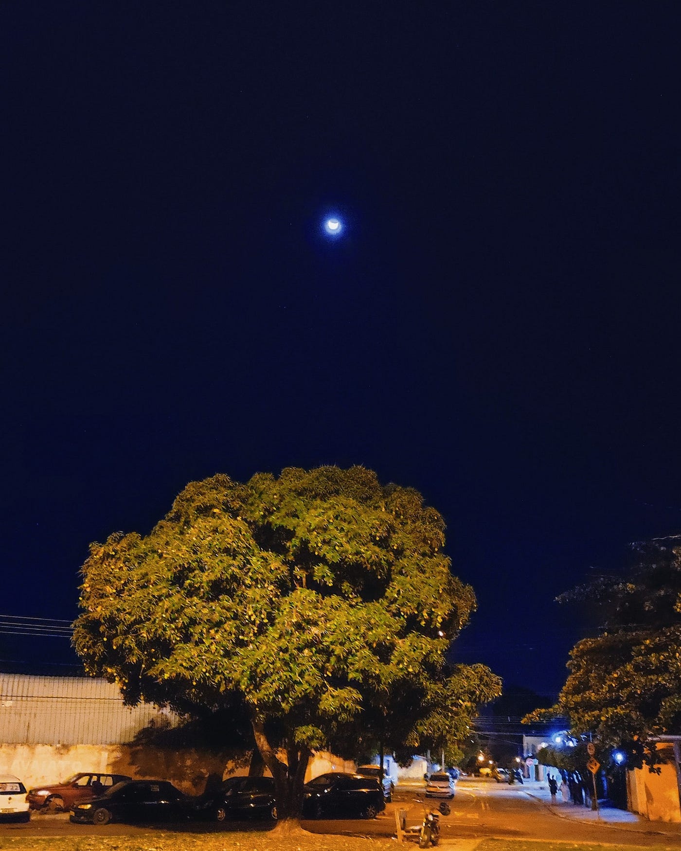 O impacto