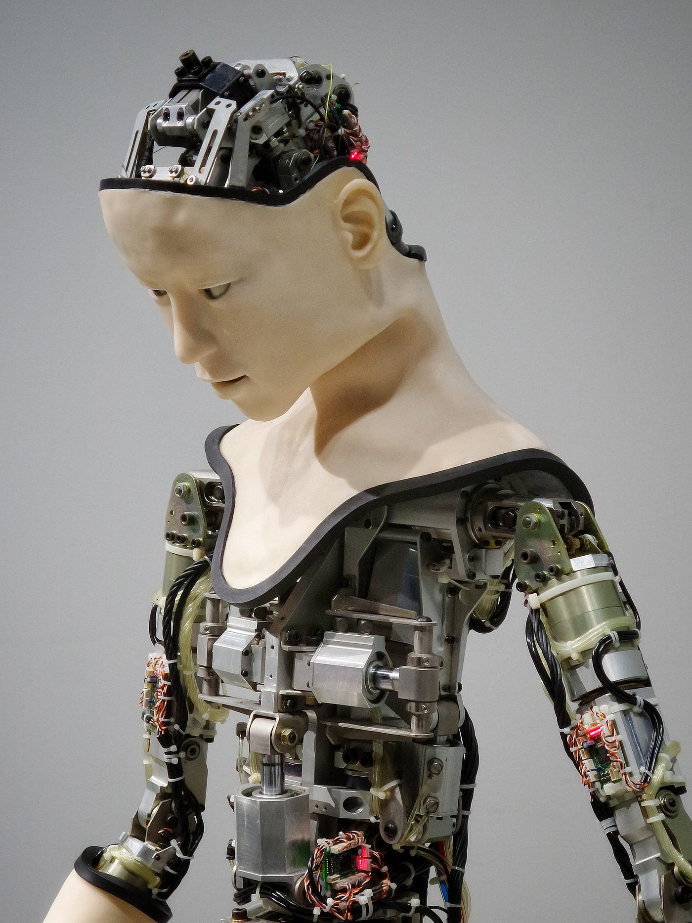 I, Robot: Examining Sentience and the Value of Life in All Its Forms