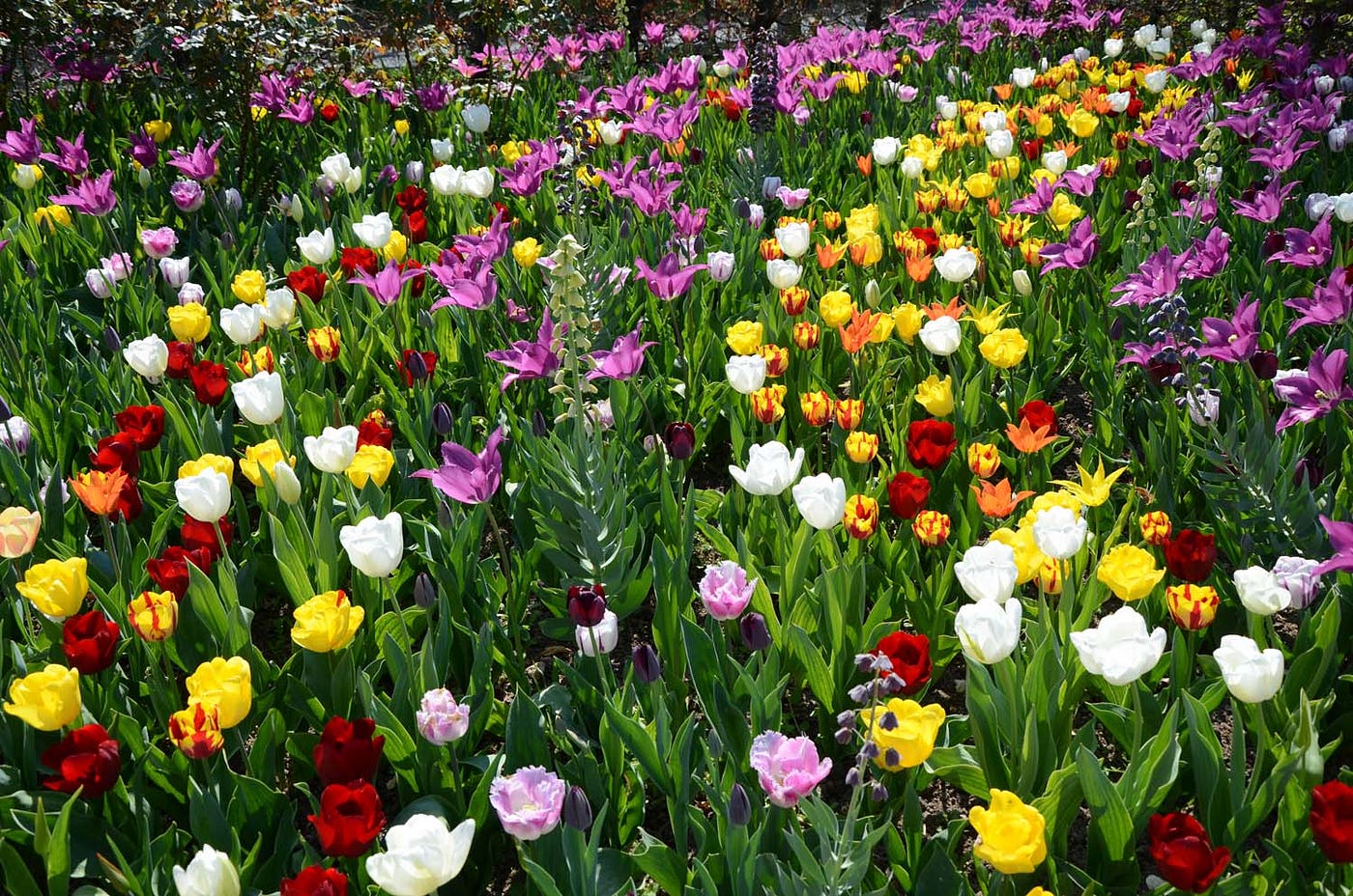 Monet’s Gardens, Giverny, France