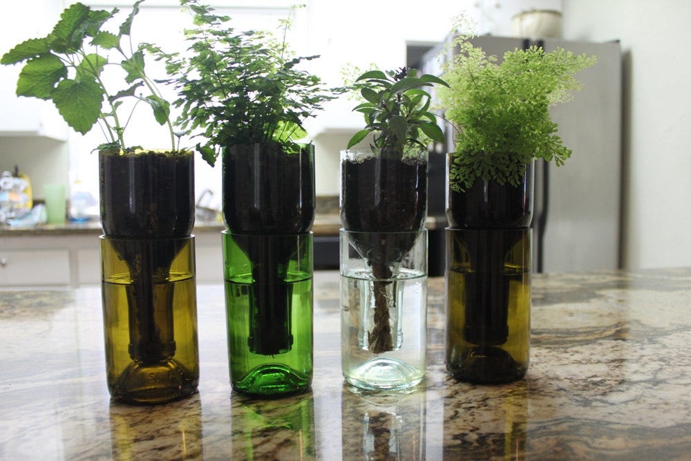 12 Interesting DIY Designs You can Easily Get from Cut Wine Bottles, by  Advanced Die Supplies