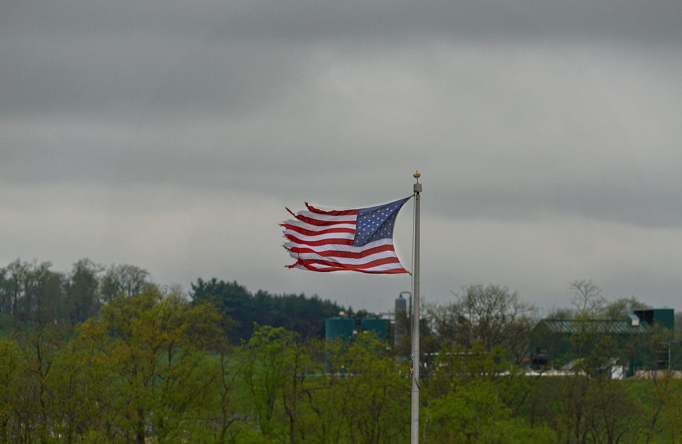 History’s Most Unbelievable Fads — Flagpoles & Pet Rocks