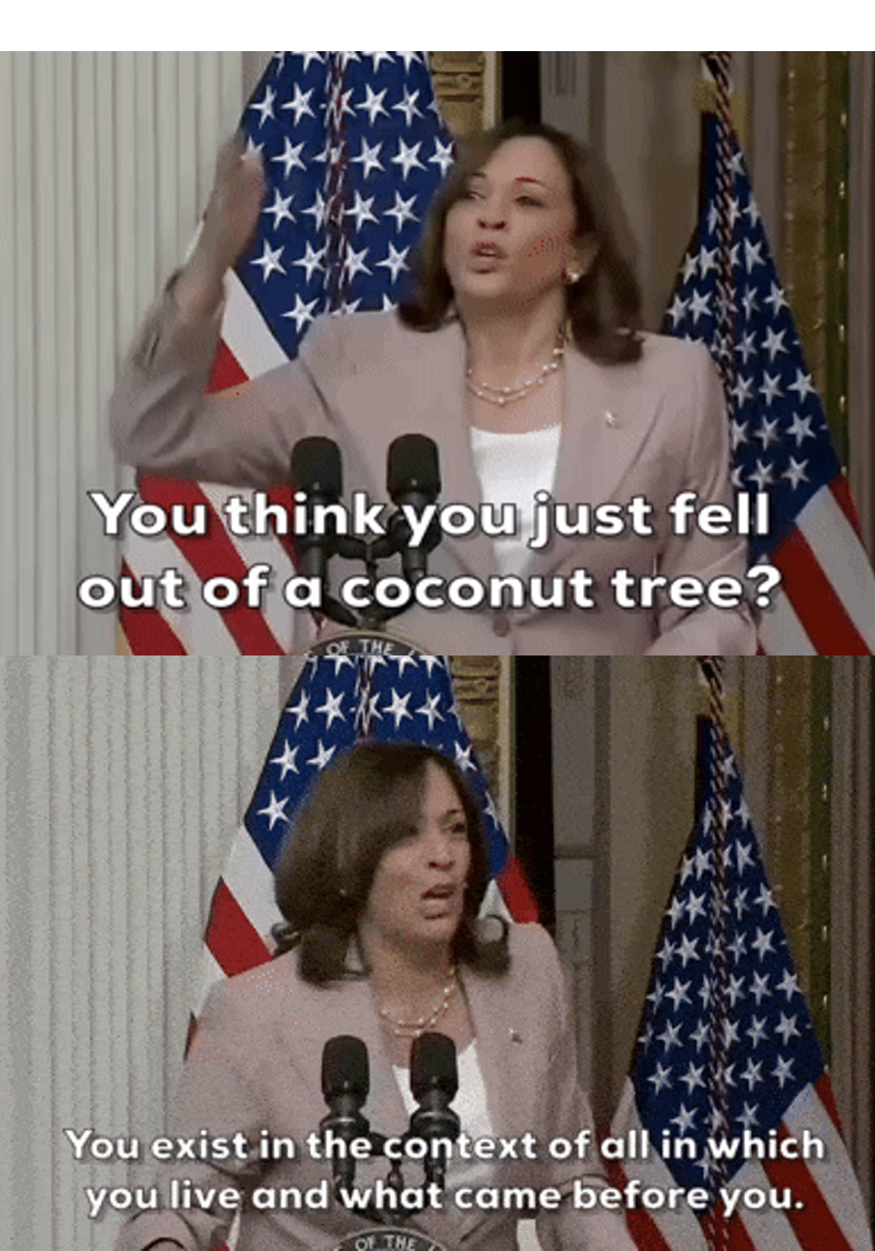 Kamala Harris speaking at a podium, she says “You think you just fell out of a coconut tree? You exist in the context of all in which you live and what came before you”