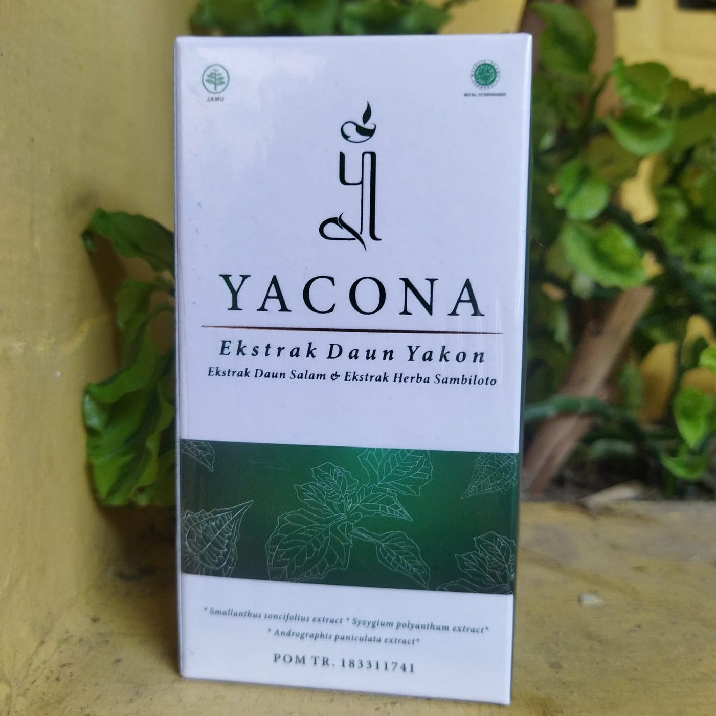 Jangan Mau Minum Obat Seumur Hidup! Coba Yacona Herbal Diabetes!
