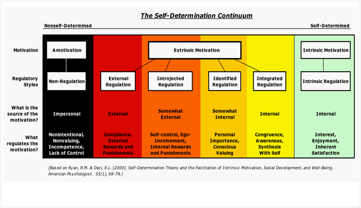 Navigating Your Career with Self-Determination Theory | by Tino