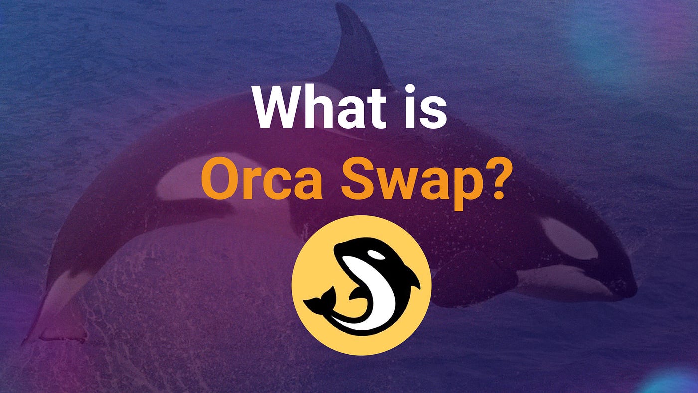 What is Orca Exchange?. Everything you need to know about Orca… | by  Slobodzeanb | Satoshi Club | Medium