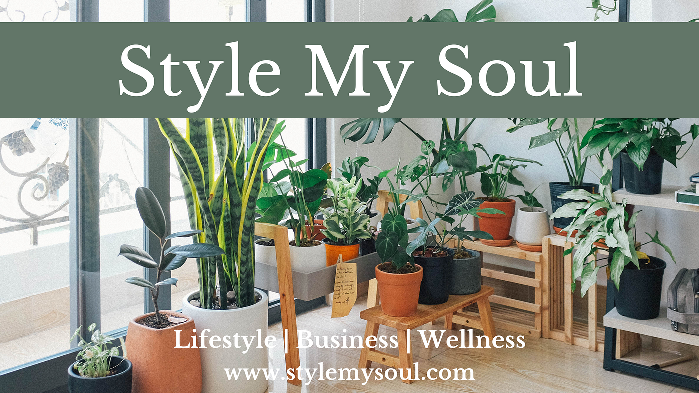 4 Easy to Manage Indoor Plants for Home and Office Spaces | by Style My  Soul * StyleMySoul.com | Medium