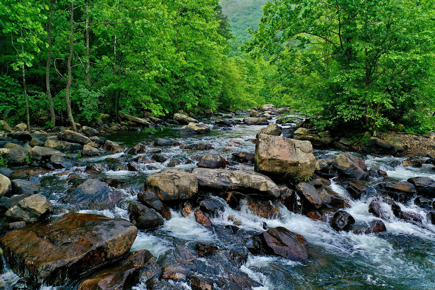Understanding Future vs Stream in Flutter: A Comprehensive Guide with Examples