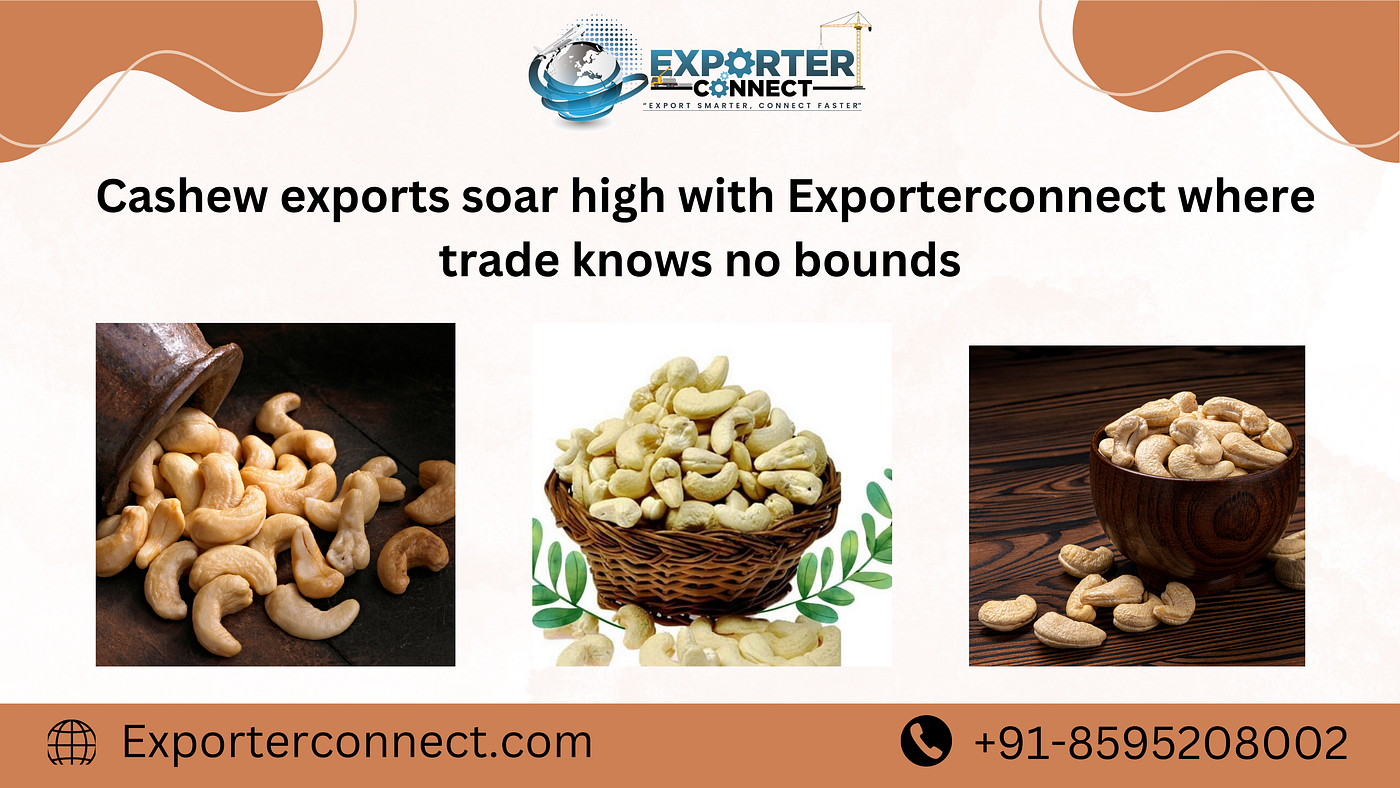 Cashew Exporter and Supplier