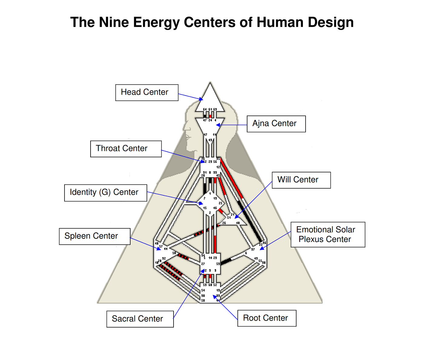 Why Is It Valuable To Have a Human Design Chart Reading? | by