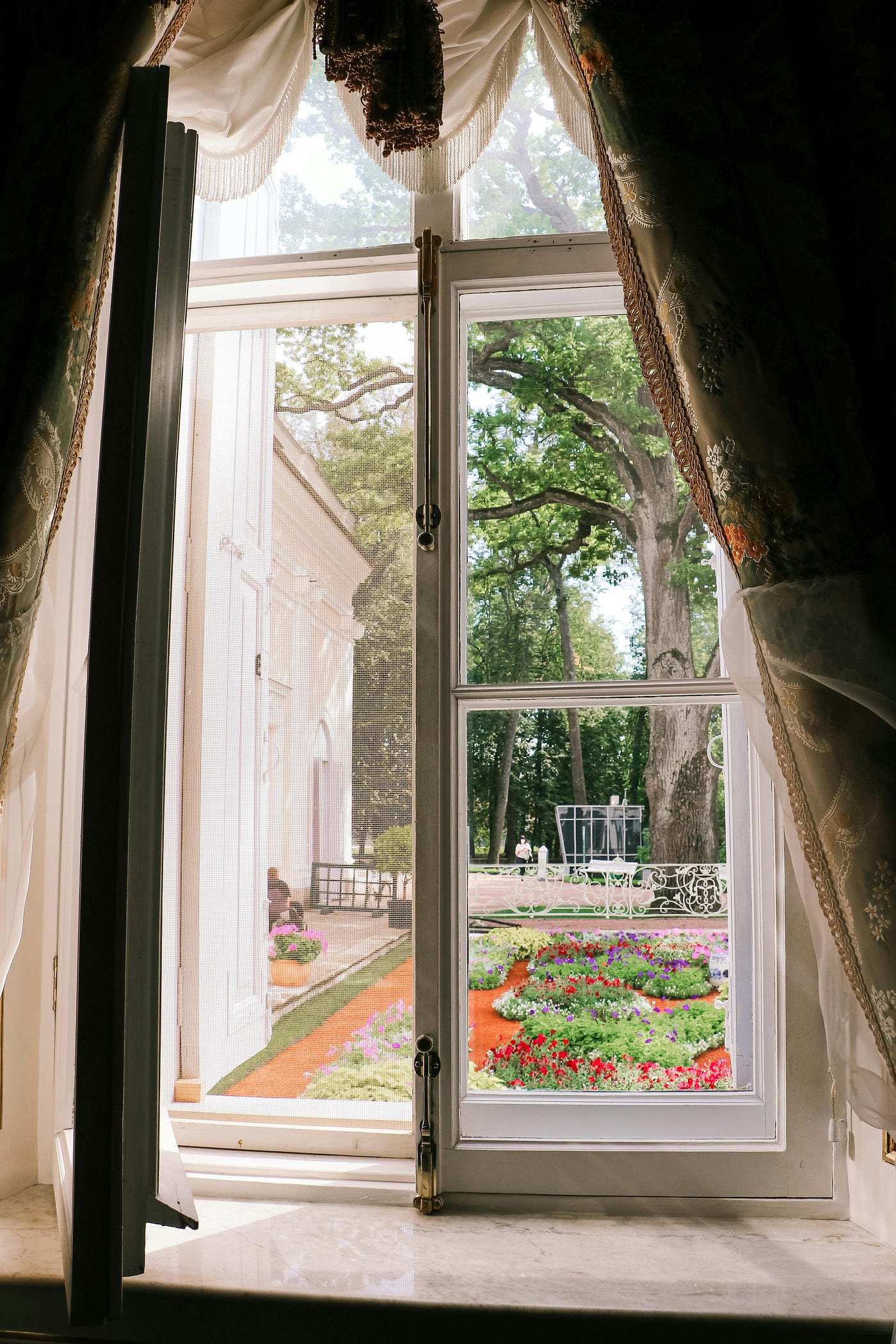 Day -1: Window of Opportunity