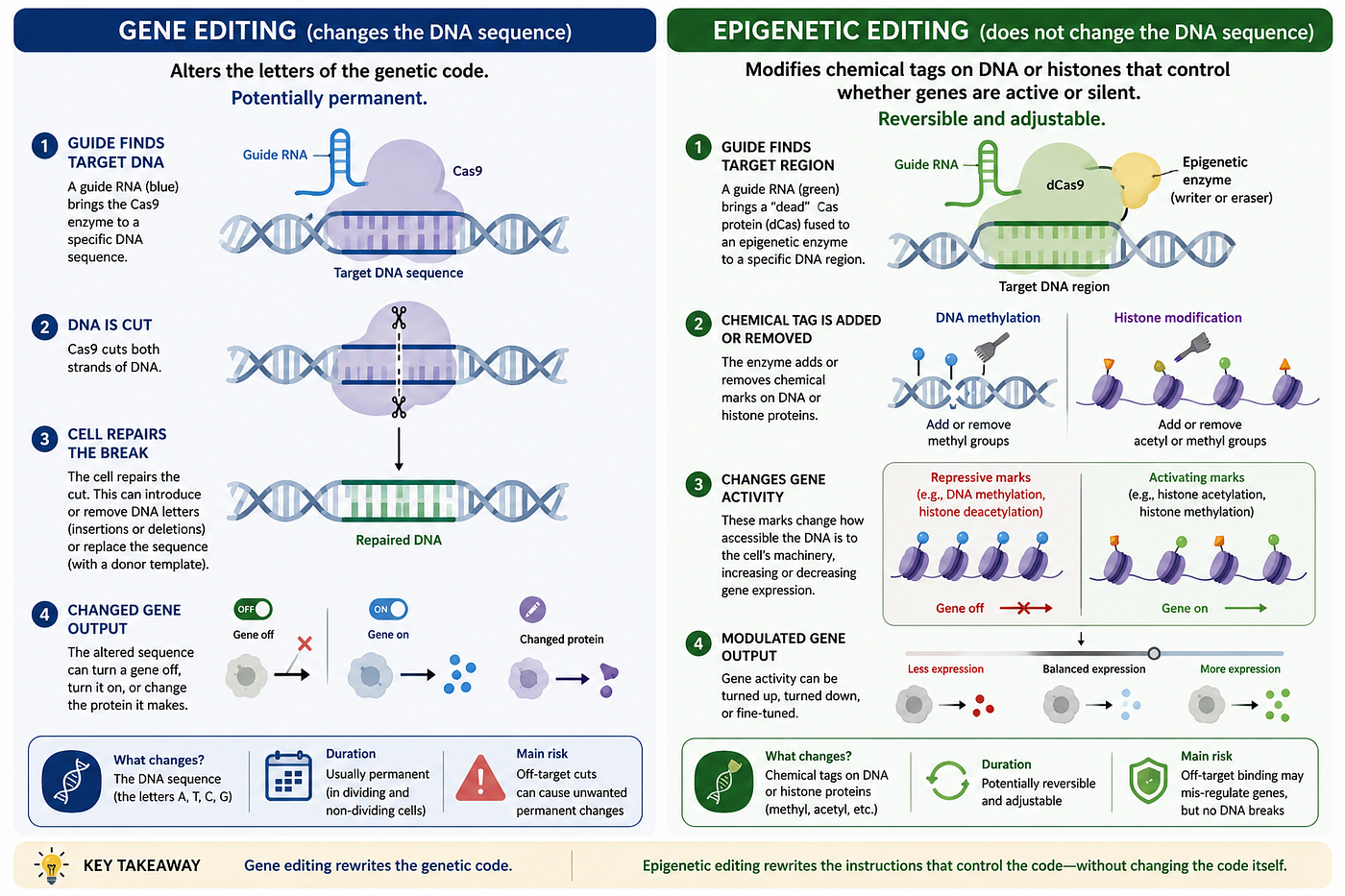 Pepsi looks to follow Coca-Cola, M&A in a boring industry and To cut or not to cut DNA