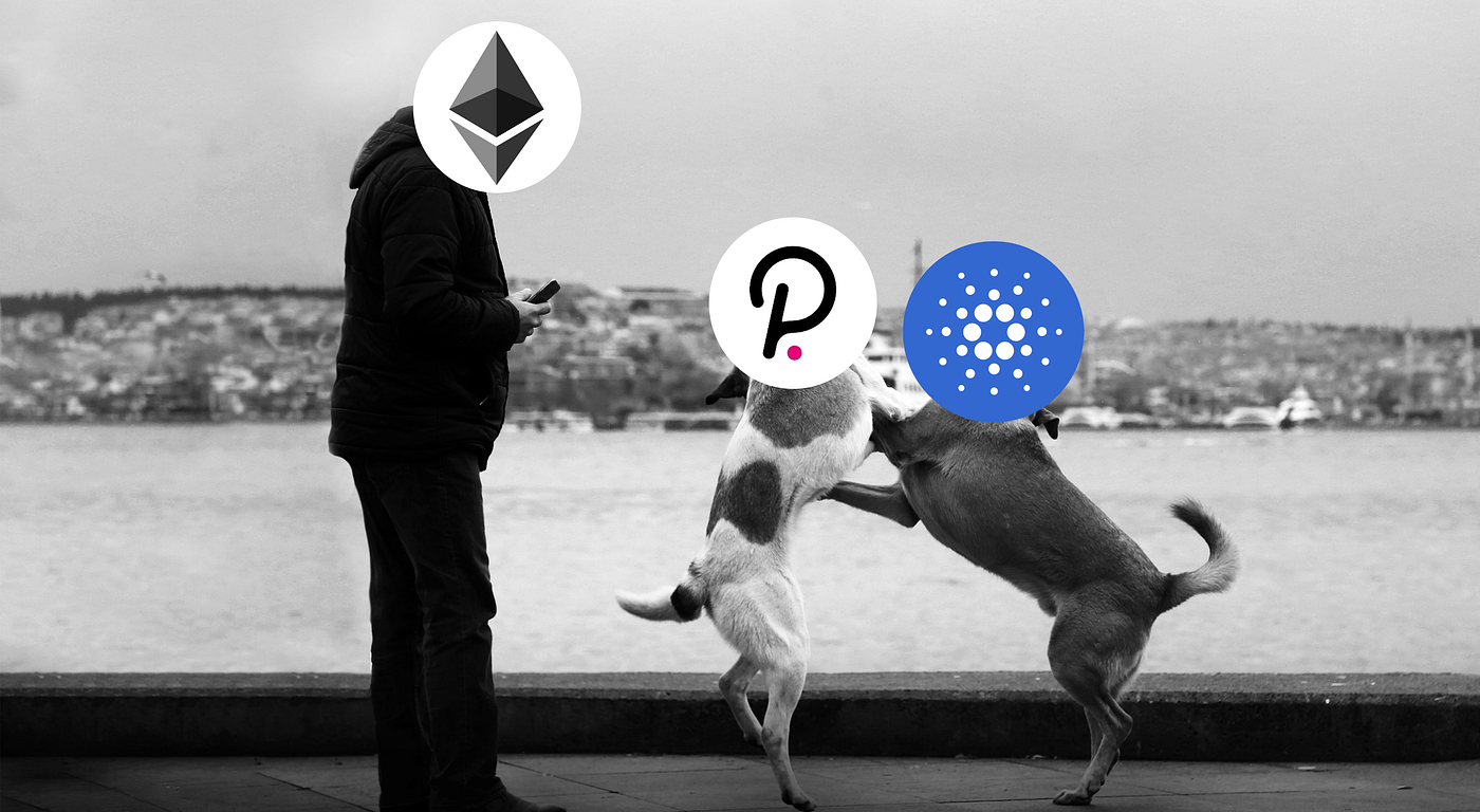 Ethereum Competitors: Polkadot vs. Cardano | by Maximilian Perkmann |  Coinmonks | Medium