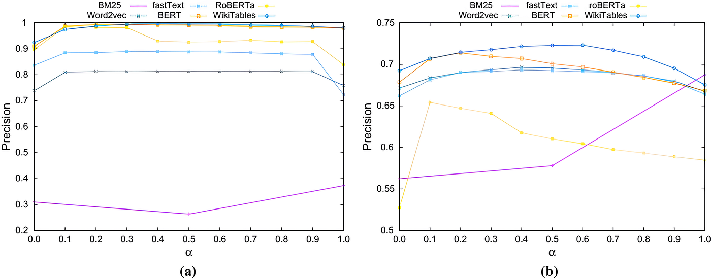 Hybrid RAG embeddings: uniting dense semantics with sparse lexical precision for advanced retrieval.
