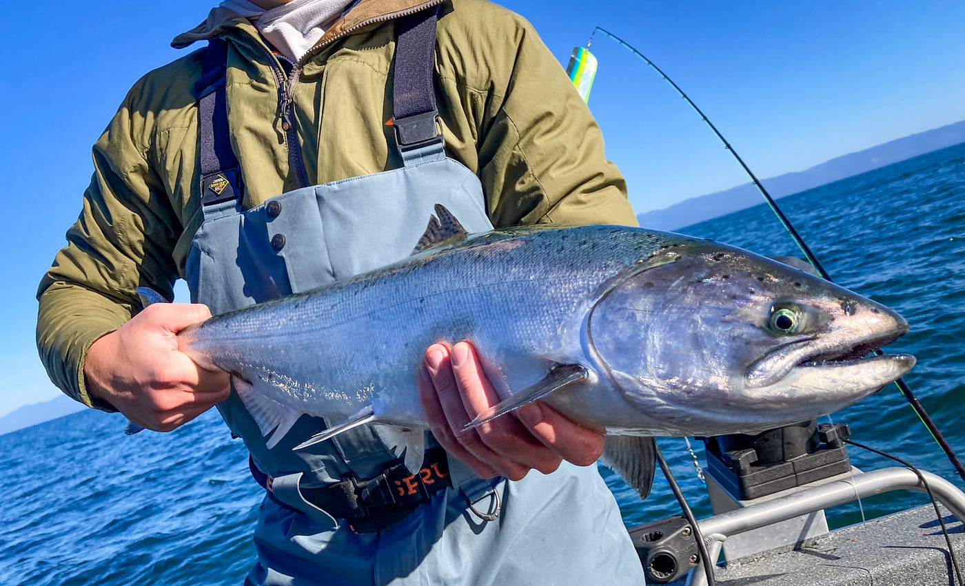 Salty Chinook: late-winter and spring salmon fishing on the