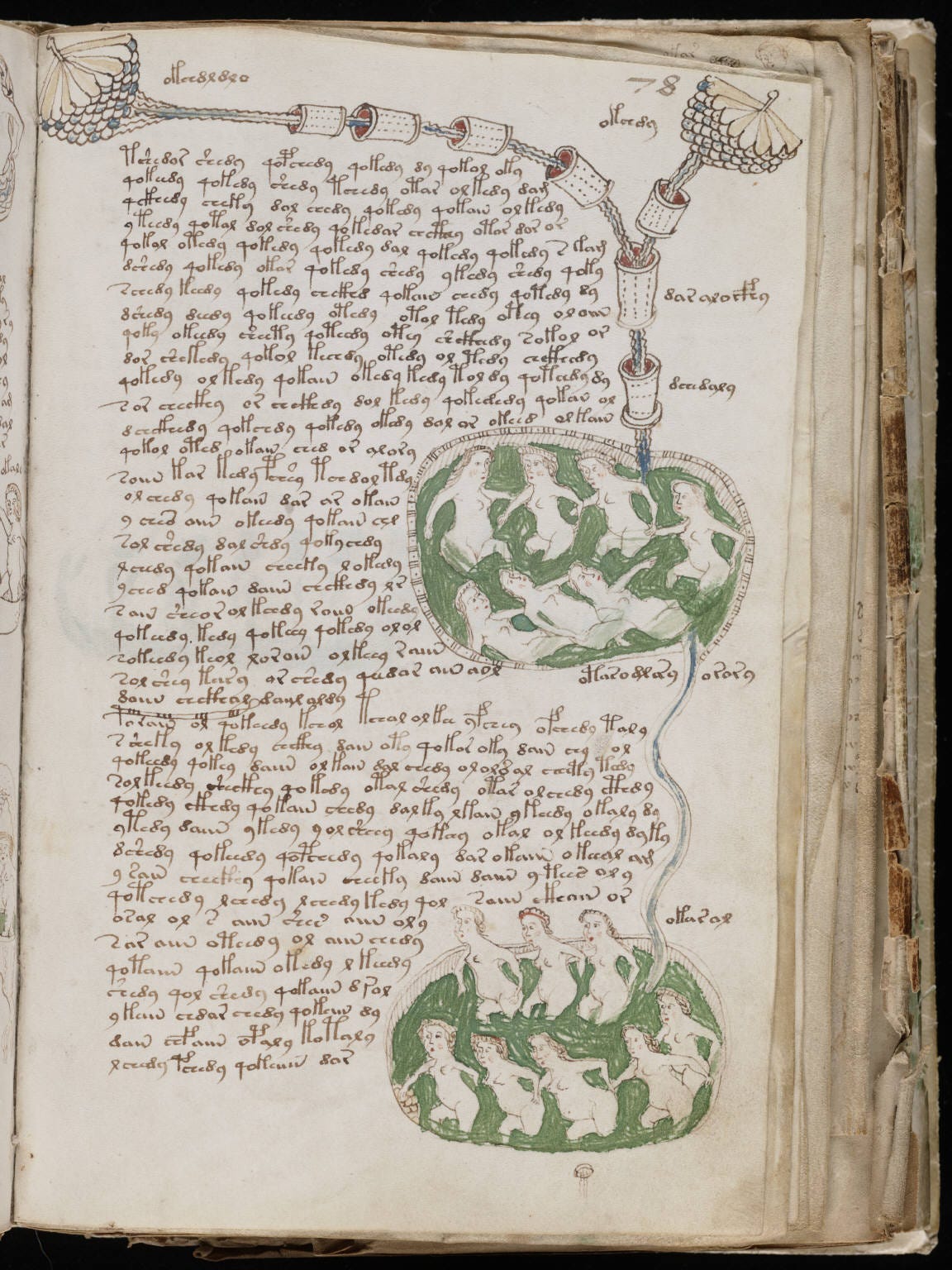 Voynich manuscript - Wikipedia