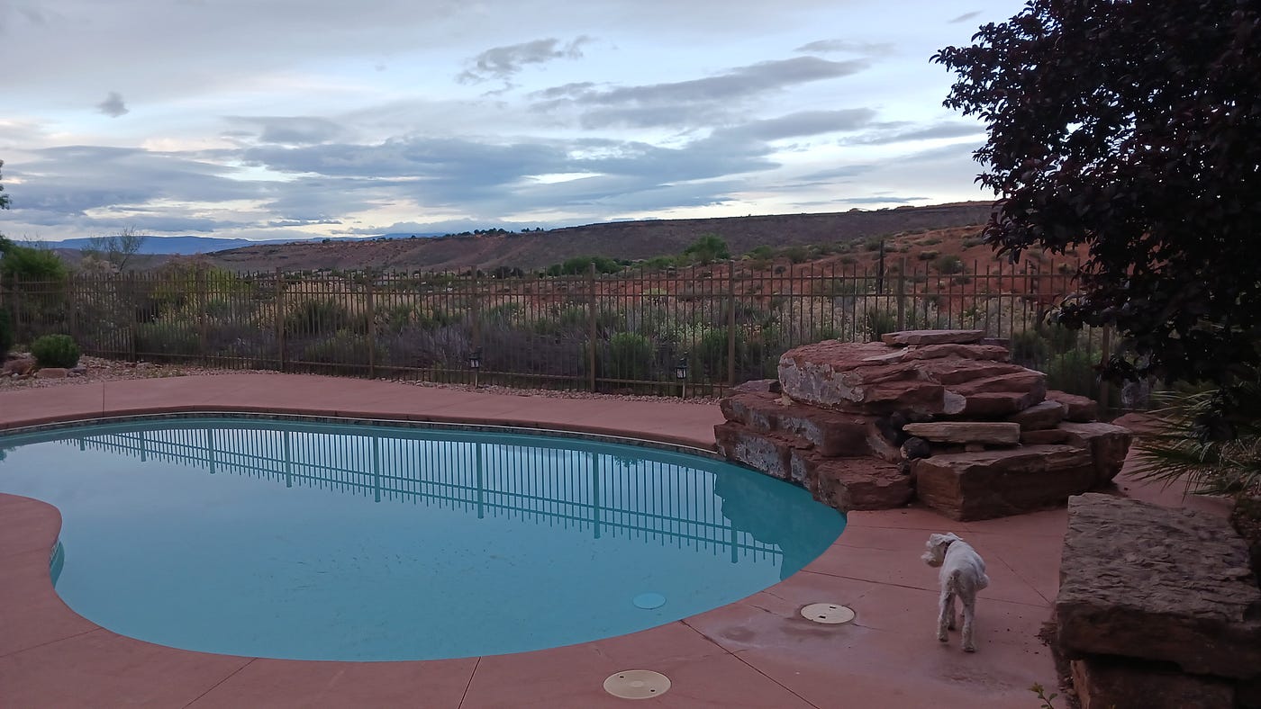 Photo by the Author: Backyard view of the desert, where the quail play