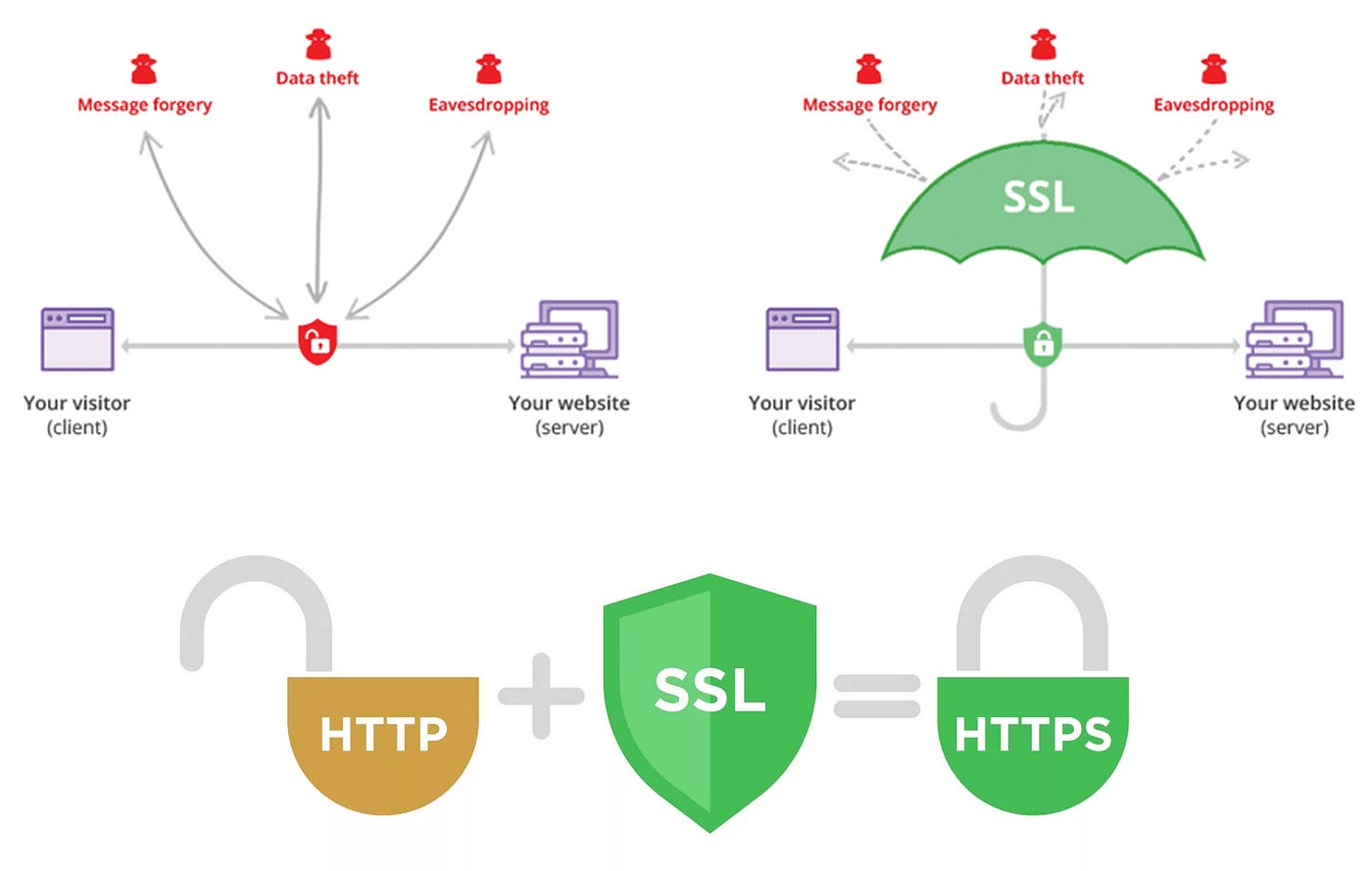 ssl and seo