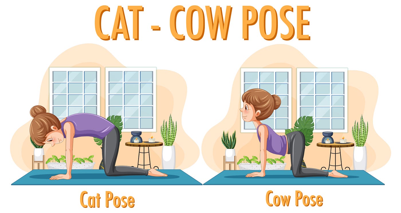 Best Yoga Poses for Back Pain Relief