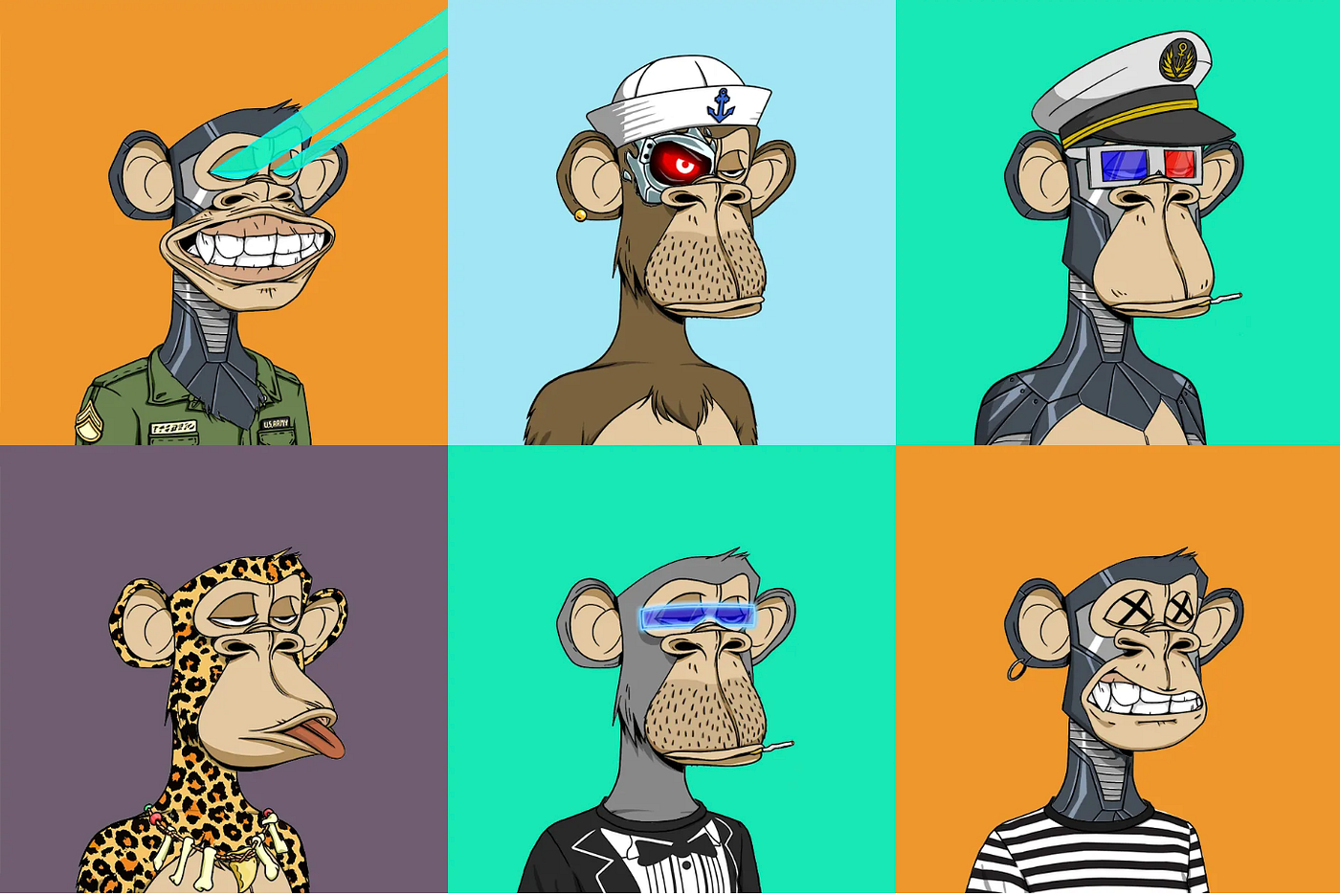 The Fascinating Story Behind the Creation of The Bored Apes Yacht Club | by  Alexander Gleeson | Medium