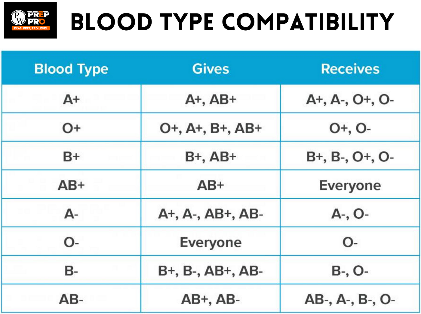 Blood Types - A, B, AB and O Explained