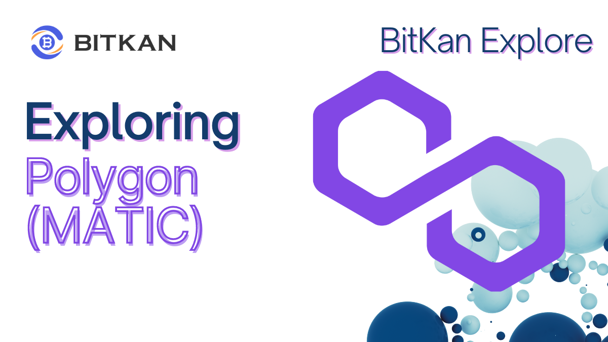 Polygon (MATIC) 2023-2024: Good Investment? | BitKan Hub