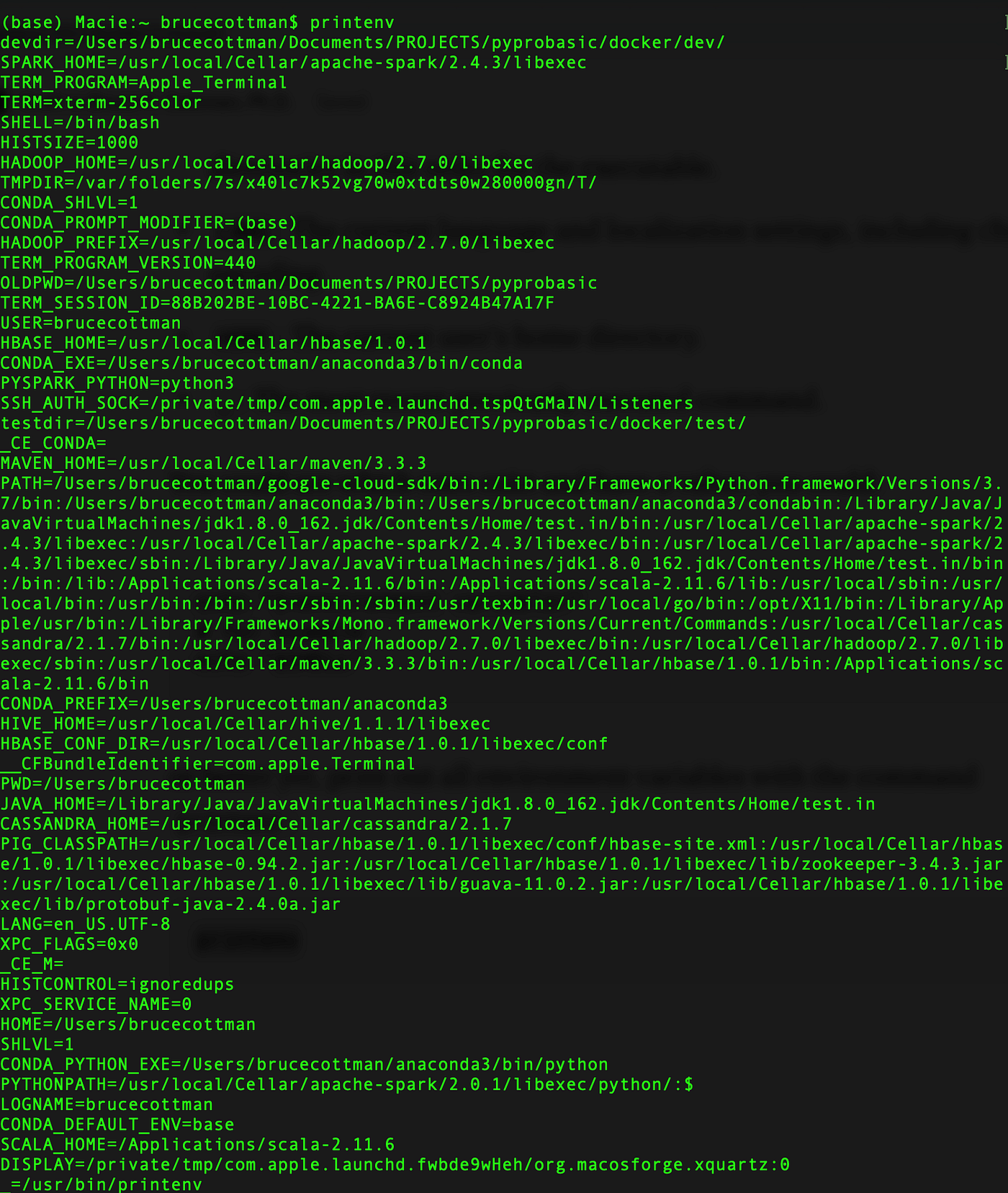 Seventeen Methods For Changing Linux Environment Variables and Docker  Containers Environment Variables | by Bruce H. Cottman, Ph.D. | Level Up  Coding