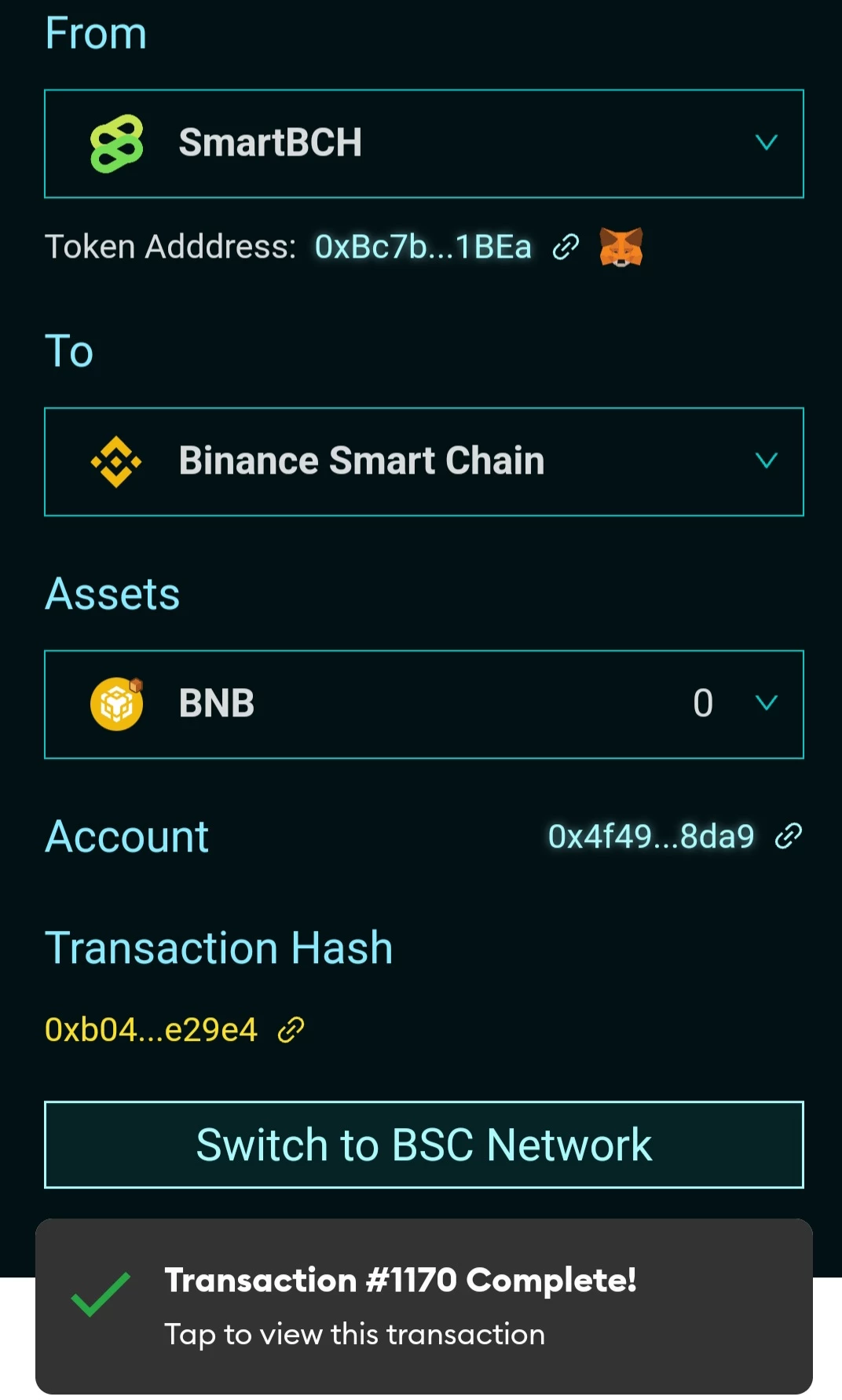 Closing the SmartBCH Chapter … For Real! | by PVMihalache | The Crypto  Kiosk | Medium