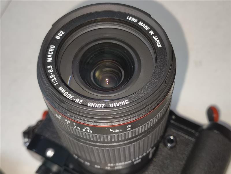 Nikon 28–300mm vs Sigma 28–300mm: Two All-in-One Zoom Lenses, Two