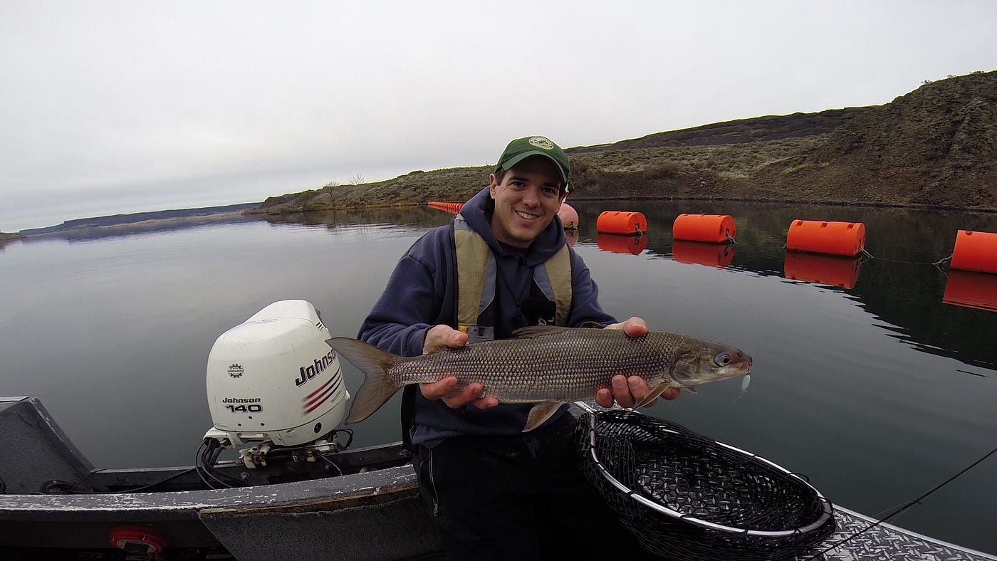 How to catch lake whitefish at Banks Lake this winter