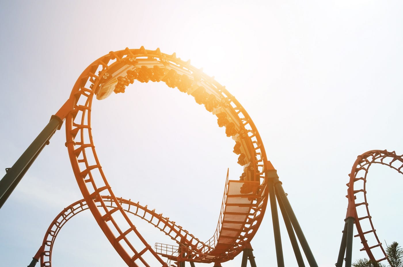 Solved The Roller Coaster Database maintains a web site