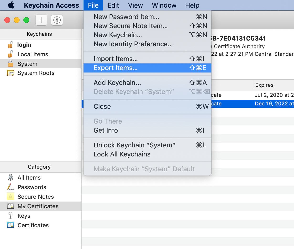 How to Import Public Certificates into Java's Truststore from a Browser |  by Avinash Reddy Penugonda | Expedia Group Technology | Medium