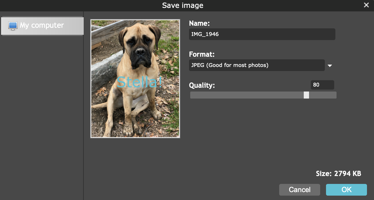 Using Online Photo Editor, Pixlr Editor, by Abigail Davis, Tank, I Need  a Program