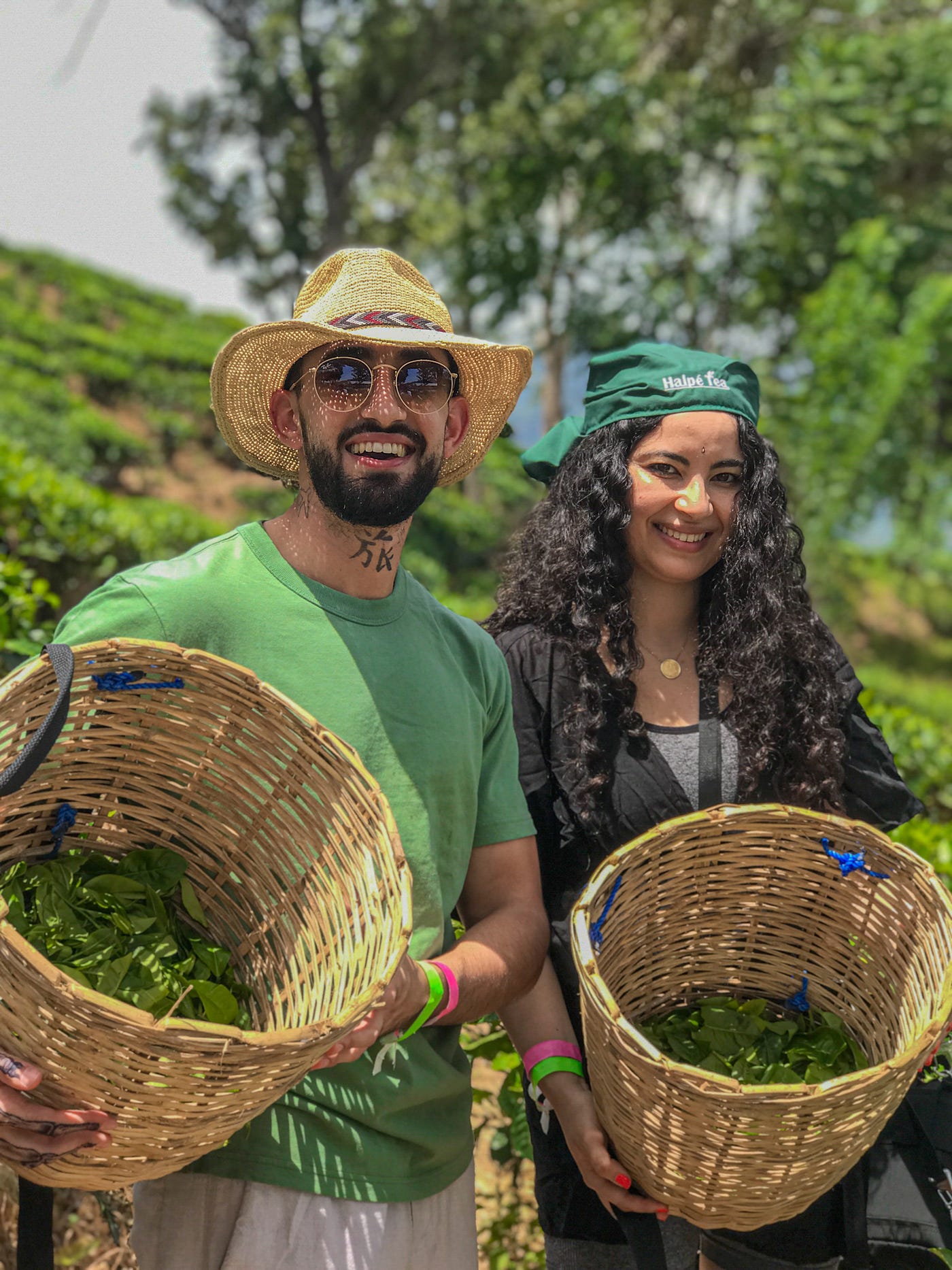 Tea Plantation Tourism in Sri Lanka: Data on Visitor Interest and Growth — Why the Hill Country…