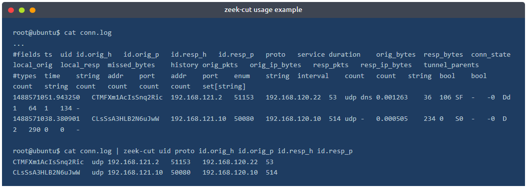 TryHackMe Zeek — Task 1 Introduction, Task 2 Network Security