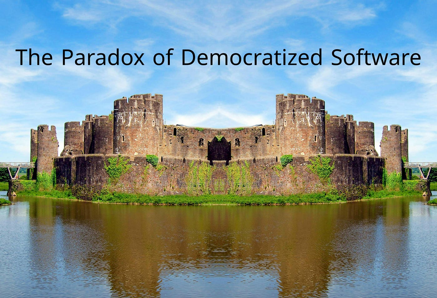 The Paradox of Democratized Software