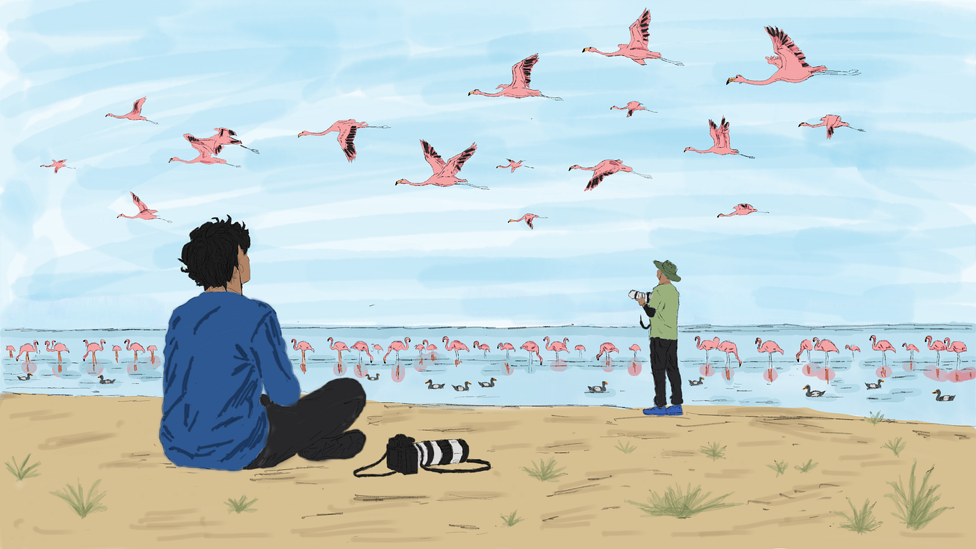 The Boy and His Birds
