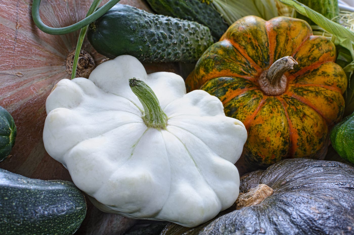 🎃 Pattypan Power: Meet the Curious Squash That Looks Like a UFO